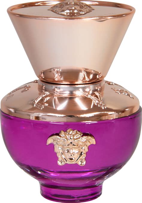 versace dylan purple dm